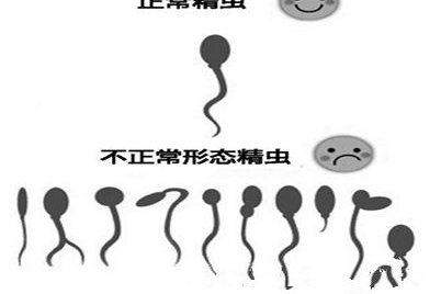 试管达必佳怎么打一半留一半有技巧吗？