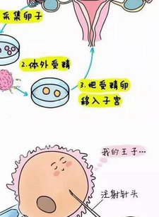 试管囊胚移植后在家打黄体酮针这么打？