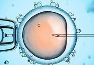 试管婴儿吃阿司匹林一停药就胎停了？