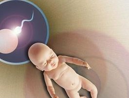 大庆红岗区试管婴儿哪个医院好？