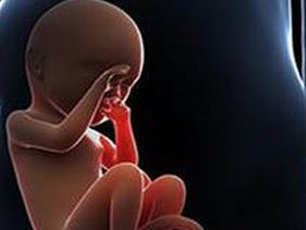 人工受孕跟试管婴儿费用，人工受孕和试管婴儿的区别多少钱！