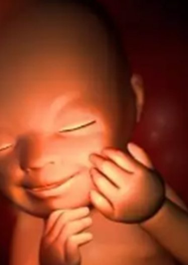 超长方案什么时候能移植冻囊胚，移植鲜胚成功率更高？